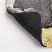 Niedliche Kleintiere | Afrikanische Elefanten und Mousepad (Ecke)