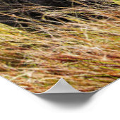 Niedliche Kleintiere | Afrikanische Elefanten und Poster (Ecke)