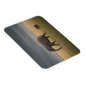 Niedliche Kleintiere | Afrikanische Elefantenfamil Magnet (Rechte Seite)