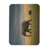 Niedliche Kleintiere | Afrikanische Elefantenfamil Magnet (Vertikal)