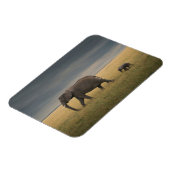 Niedliche Kleintiere | Afrikanische Elefantenfamil Magnet (Linke Seite)