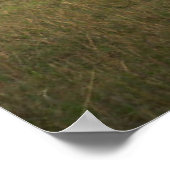 Niedliche Kleintiere | Afrikanische Elefantenfamil Poster (Ecke)