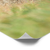 Niedliche Kleintiere | Alpenmarmot Poster (Ecke)