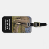 Niedliche Kleintiere | Amama Elefant mit Baby Gepäckanhänger (Vorderseite horizontal)