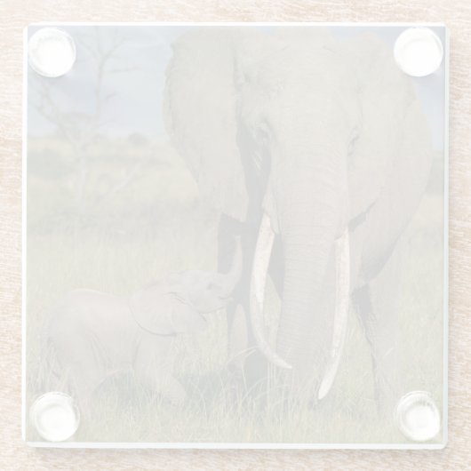 Niedliche Kleintiere | Amama Elefant mit Baby Glasuntersetzer (Rückseite)