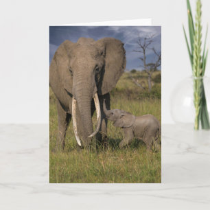Niedliche Kleintiere Amama Elefant mit Baby Karte