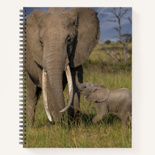 Niedliche Kleintiere Amama Elefant mit Baby Notizblock