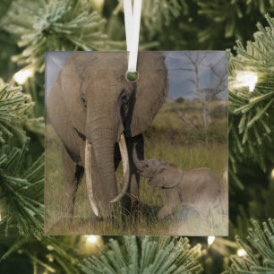 Niedliche Kleintiere   Amama Elefant mit Baby Ornament Aus Glas