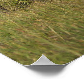 Niedliche Kleintiere | Amama Elefant mit Baby Poster (Ecke)