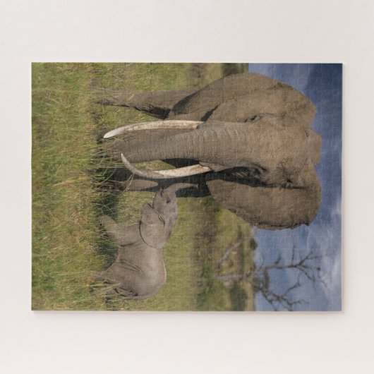 Niedliche Kleintiere | Amama Elefant mit Baby Puzzle (Horizontal)