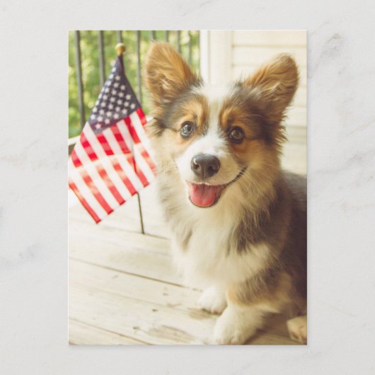 Niedliche Kleintiere | American Flag Corgi Postkarte (Vorderseite)