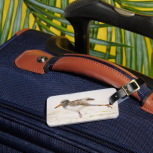 Niedliche Kleintiere   American Oystercatcher Chic Gepäckanhänger