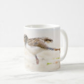 Niedliche Kleintiere | American Oystercatcher Chic Kaffeetasse (VorderseiteRechts)
