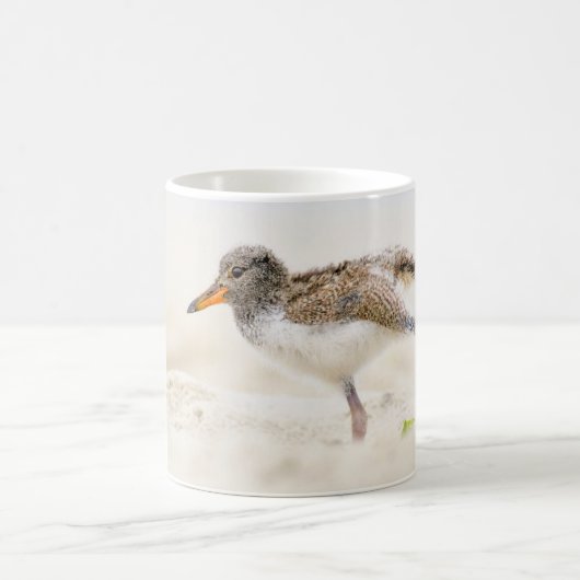 Niedliche Kleintiere | American Oystercatcher Chic Kaffeetasse (Mittel)