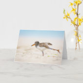 Niedliche Kleintiere | American Oystercatcher Chic Karte (Gelbe Blume)