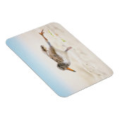 Niedliche Kleintiere | American Oystercatcher Chic Magnet (Rechte Seite)