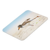 Niedliche Kleintiere | American Oystercatcher Chic Magnet (Linke Seite)