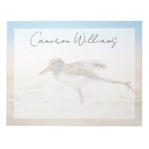 Niedliche Kleintiere American Oystercatcher Chic Notizblock