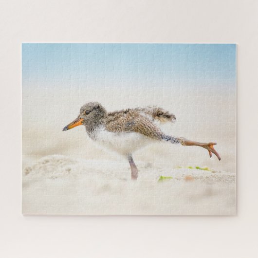 Niedliche Kleintiere | American Oystercatcher Chic Puzzle (Horizontal)