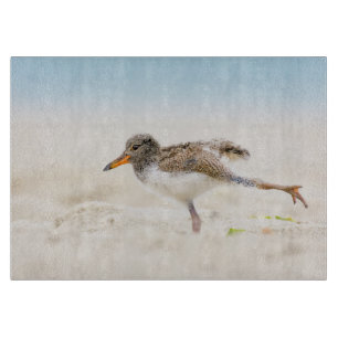 Niedliche Kleintiere   American Oystercatcher Chic Schneidebrett