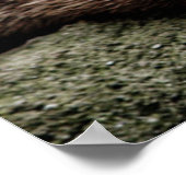 Niedliche Kleintiere | Andere Haltevorrichtungen Poster (Ecke)