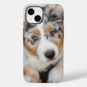 Niedliche Kleintiere | Australian Shepherd Puppy Case-Mate iPhone Hülle (Rückseite)