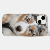 Niedliche Kleintiere | Australian Shepherd Puppy Case-Mate iPhone Hülle (Rückseite (Horizontal))