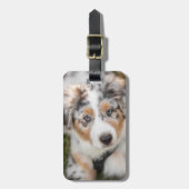 Niedliche Kleintiere | Australian Shepherd Puppy Gepäckanhänger (Vorderseite vertikal)