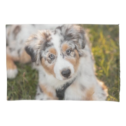 Niedliche Kleintiere | Australian Shepherd Puppy Kissenbezug (Vorderseite)