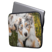 Niedliche Kleintiere | Australian Shepherd Puppy Laptopschutzhülle (Vorderseite Links)