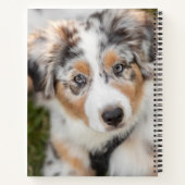 Niedliche Kleintiere | Australian Shepherd Puppy Notizblock (Rückseite)