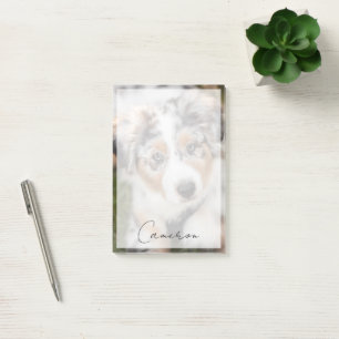 Niedliche Kleintiere Australian Shepherd Puppy Post-it Klebezettel