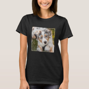 Niedliche Kleintiere Australian Shepherd Puppy T-Shirt