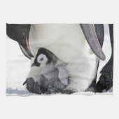 Niedliche Kleintiere | Babemann Penguin Geschirrtuch (Horizontal)