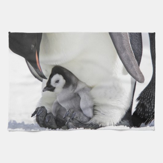 Niedliche Kleintiere | Babemann Penguin Geschirrtuch (Horizontal)