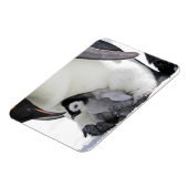 Niedliche Kleintiere | Babemann Penguin Magnet (Linke Seite)