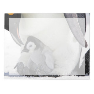 Niedliche Kleintiere   Babemann Penguin Notizblock