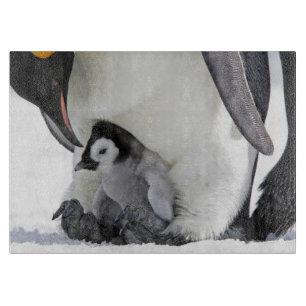 Niedliche Kleintiere Babemann Penguin Schneidebrett