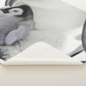 Niedliche Kleintiere | Babemann Penguin Sherpadecke (3/4)