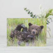 Niedliche Kleintiere | Baby Brown Bear Cube Dankeskarte (Stehend Vorderseite)