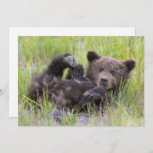 Niedliche Kleintiere | Baby Brown Bear Cube Dankeskarte (Vorne/Hinten)
