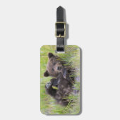 Niedliche Kleintiere | Baby Brown Bear Cube Gepäckanhänger (Vorderseite vertikal)