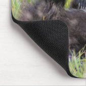 Niedliche Kleintiere | Baby Brown Bear Cube Mousepad (Ecke)