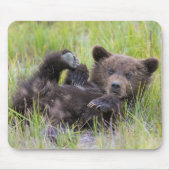 Niedliche Kleintiere | Baby Brown Bear Cube Mousepad (Vorne)