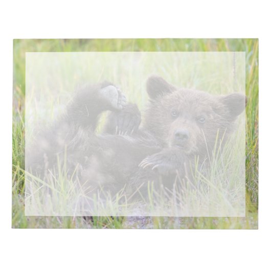 Niedliche Kleintiere | Baby Brown Bear Cube Notizblock (Vorderseite)