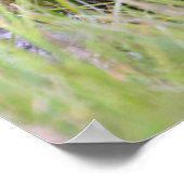 Niedliche Kleintiere | Baby Brown Bear Cube Poster (Ecke)