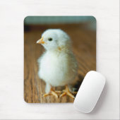 Niedliche Kleintiere | Baby Chick Mousepad (Mit Mouse)