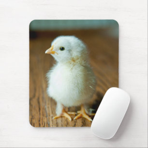 Niedliche Kleintiere Baby Chick Mousepad