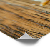 Niedliche Kleintiere | Baby Chick Poster (Ecke)