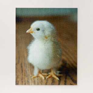 Niedliche Kleintiere Baby Chick Puzzle